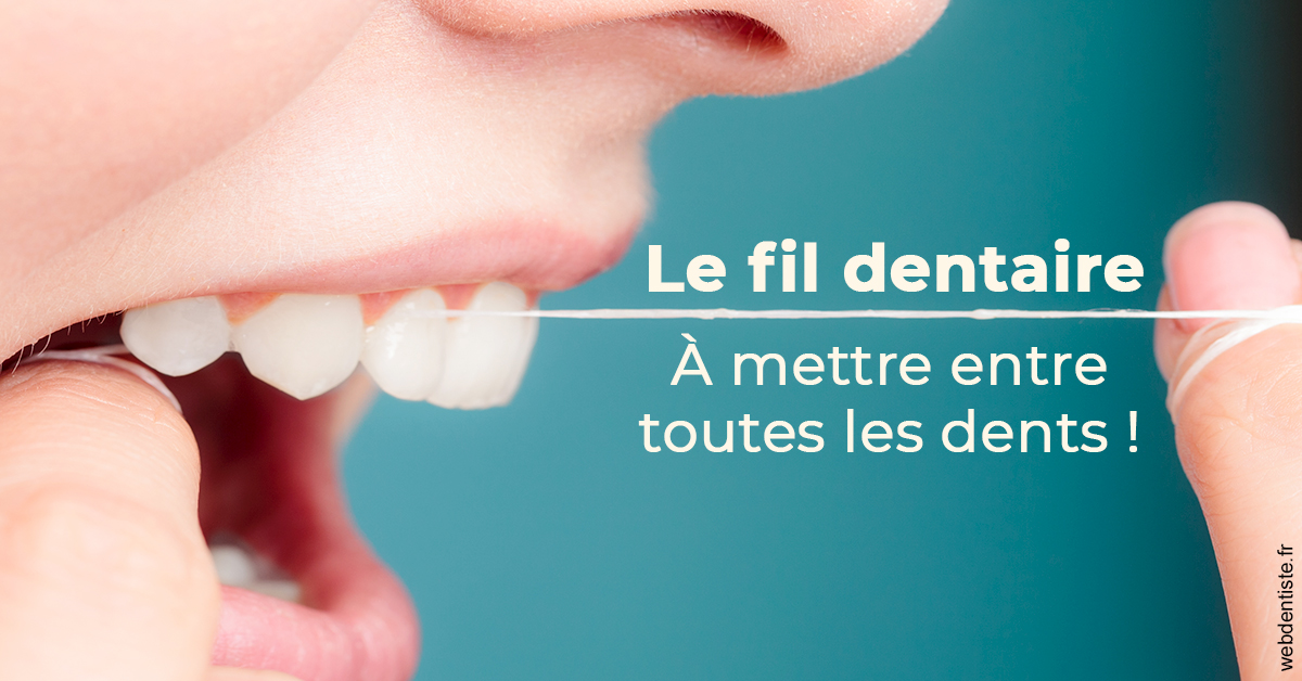 https://selarl-stephane-palmer.chirurgiens-dentistes.fr/Le fil dentaire 2