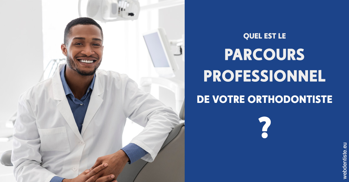 https://selarl-stephane-palmer.chirurgiens-dentistes.fr/Parcours professionnel ortho 2