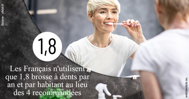 https://selarl-stephane-palmer.chirurgiens-dentistes.fr/Français brosses 2