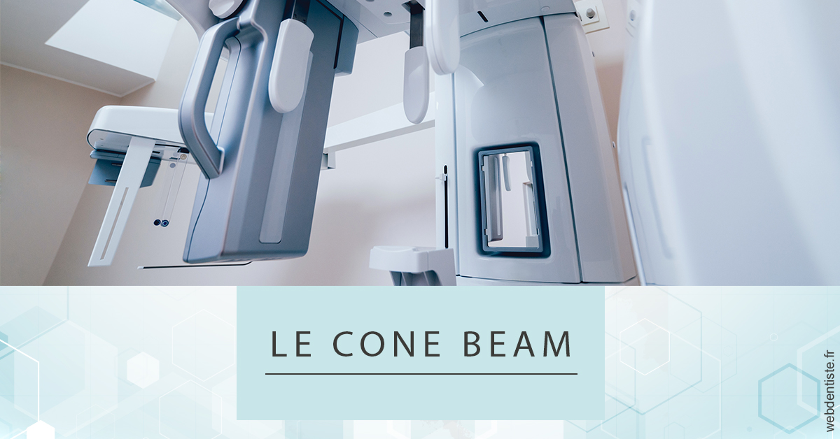 https://selarl-stephane-palmer.chirurgiens-dentistes.fr/Le Cone Beam 2