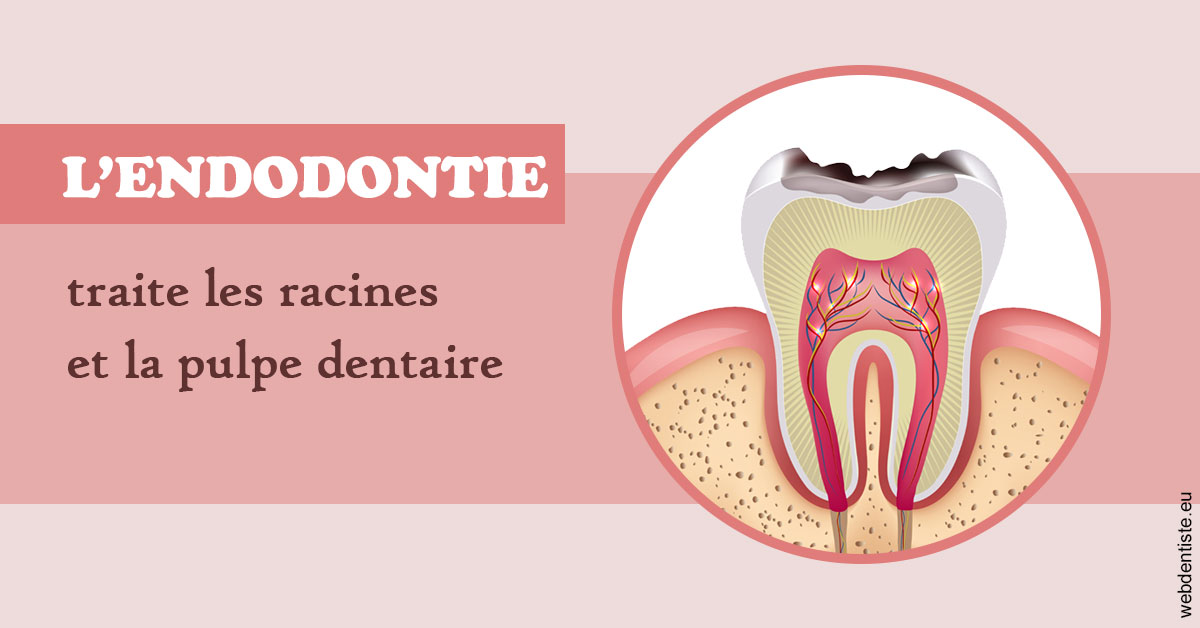 https://selarl-stephane-palmer.chirurgiens-dentistes.fr/L'endodontie 2