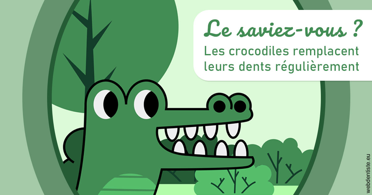 https://selarl-stephane-palmer.chirurgiens-dentistes.fr/Crocodiles 2