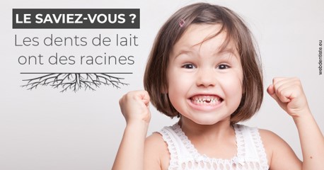 https://selarl-stephane-palmer.chirurgiens-dentistes.fr/Les dents de lait