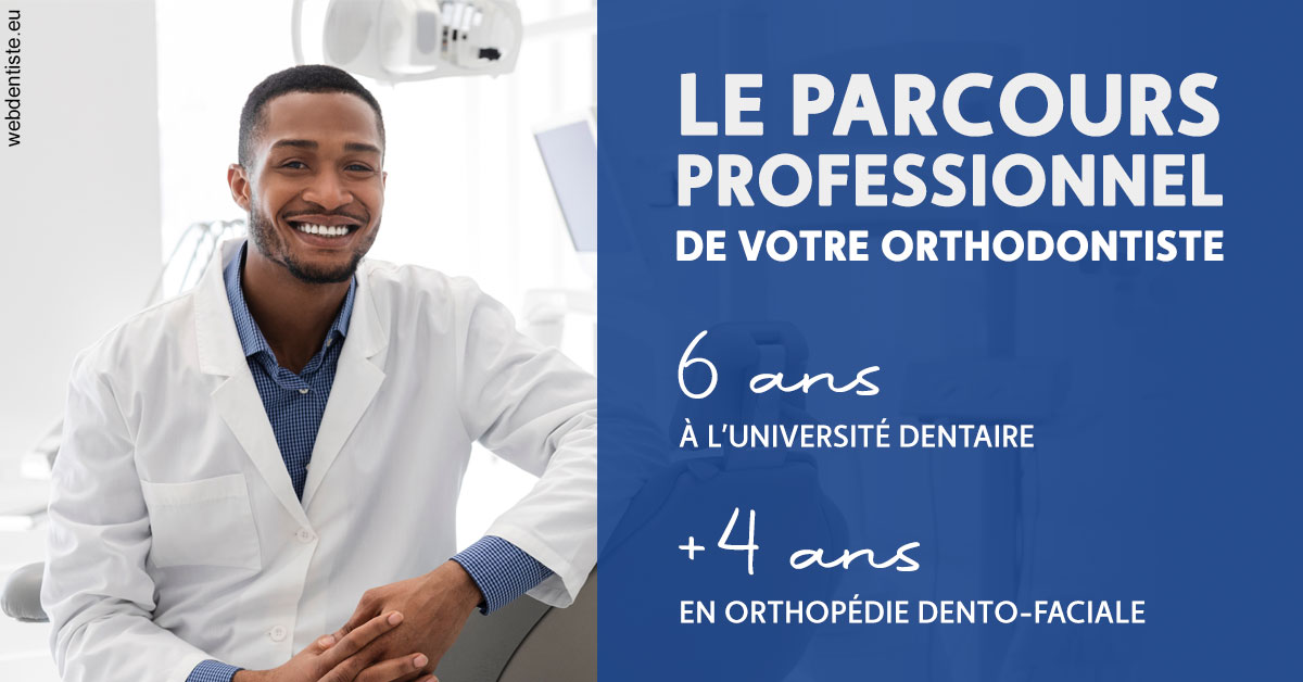 https://selarl-stephane-palmer.chirurgiens-dentistes.fr/Parcours professionnel ortho 2