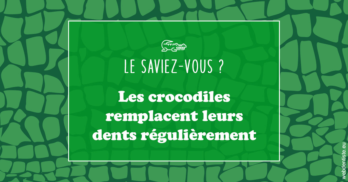 https://selarl-stephane-palmer.chirurgiens-dentistes.fr/Crocodiles 1